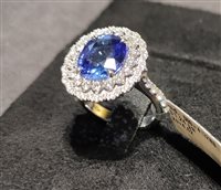 Anello Crivelli Donna Classic in Oro bianco Tanzanite 000-4132NS